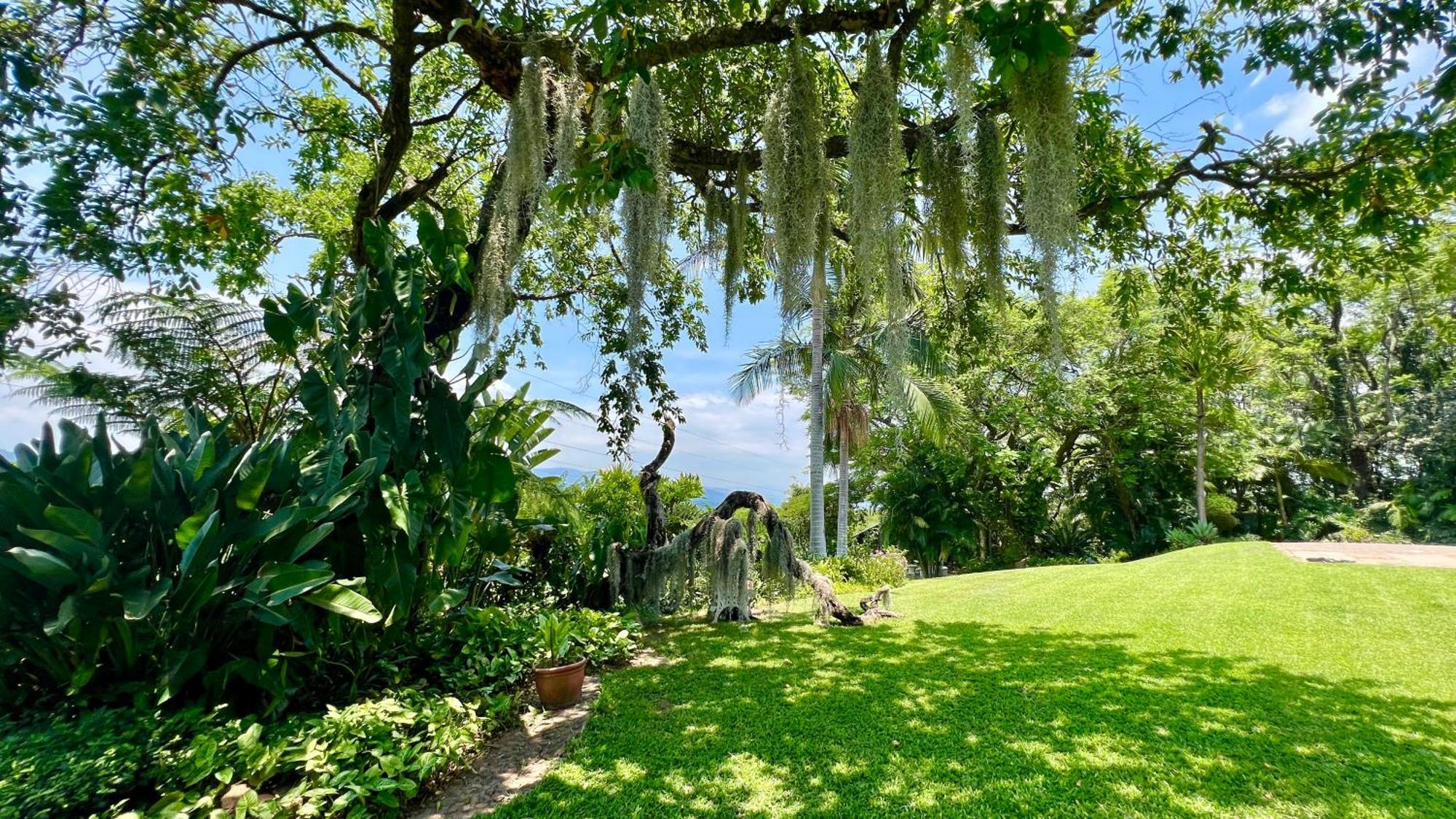 Loerieroep Estate - Mountainview Selfcatering Accommodation Nelspruit Apartment Mbombela