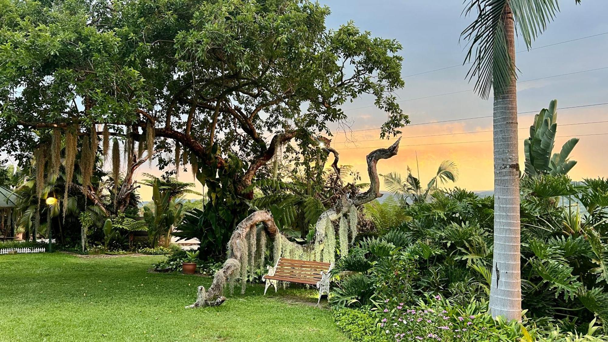 Loerieroep Estate - Mountainview Selfcatering Accommodation Nelspruit Mbombela